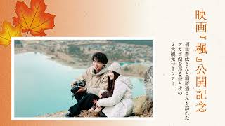 まるで映画の主人公に！ニュージーランド・テカポ湖の昼と夜の絶景を巡るロマンチックな旅｜トラベルスタンダードジャパン
