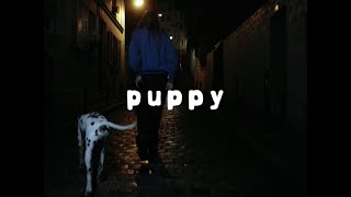 Charlotte Cardin - Puppy [Lyric Video]