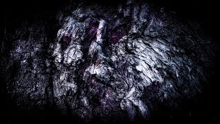 Wintersun - Eternal Darkness (Autumn) Official Lyric Video
