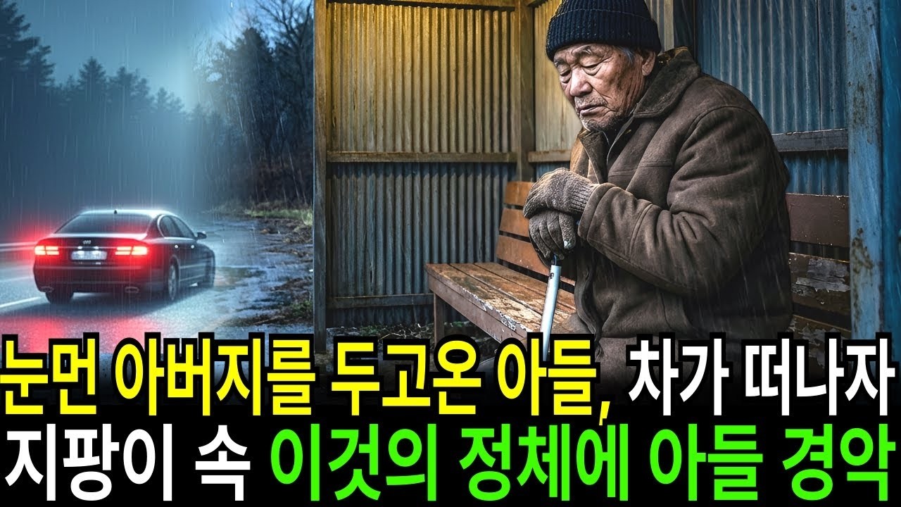눈먼 아버지를 길가에 두고온 아들, 차가 떠난 뒤 지팡이 속에서 꺼낸 ‘이것’에 아들 인생이 무너지는데   ｜오디오북 ｜ 사연라디오 ｜ 감동사연 ｜
