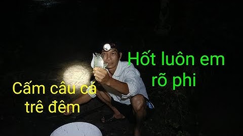 Nhấp vịt cá lóc  cấm câu cá trê đêm của người miền Tây và cái kết. thanh Cường Vlogs