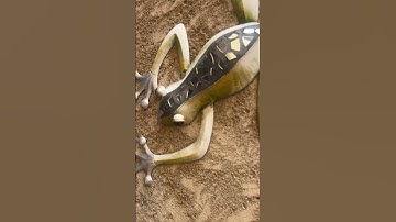 Day 4 of making ugly transitions till 30 subs #hiphop #rap #music #dance #newsong #nba #funny