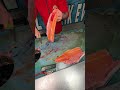 Fırat balığı böyle ayıklanır