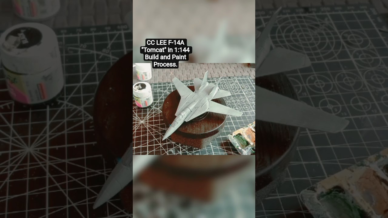 CC LEE F-14A 