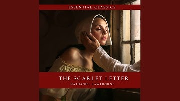 Chapter 13.11 & Chapter 14.1 - The Scarlet Letter