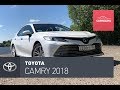 Toyota Camry 2018. Королева ликвида, подруга чиновника и звезда автоугона.