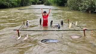 Bac used stakes and many bamboo trees to tie many fishing nets, fishing for fish in flood season.