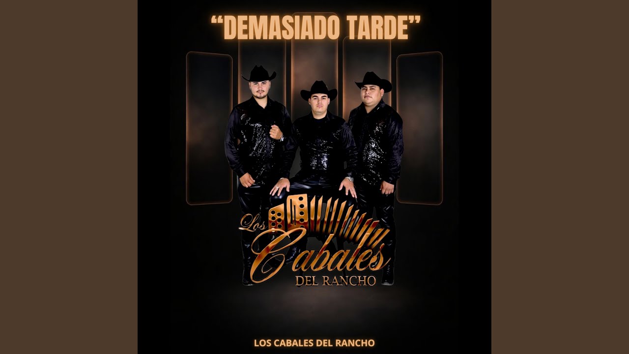 DEMASIADO TARDE