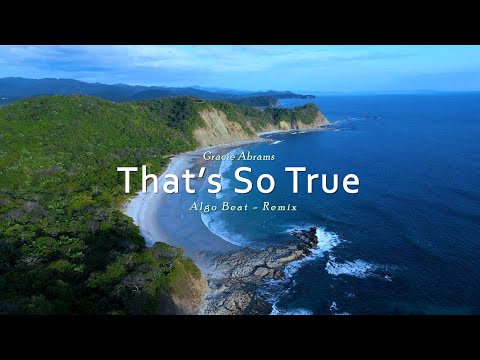 DJ SLOW REMIX That S So True Algo Beat Slow Remix