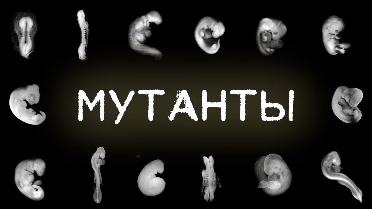 ГЕНЕТИЧЕСКОЕ ИЗМЕНЕНИЕ ЛЮДЕЙ