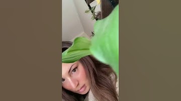 Trying to win over your crush | Boo App