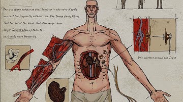 Ik heb een magisch systeem gecreëerd