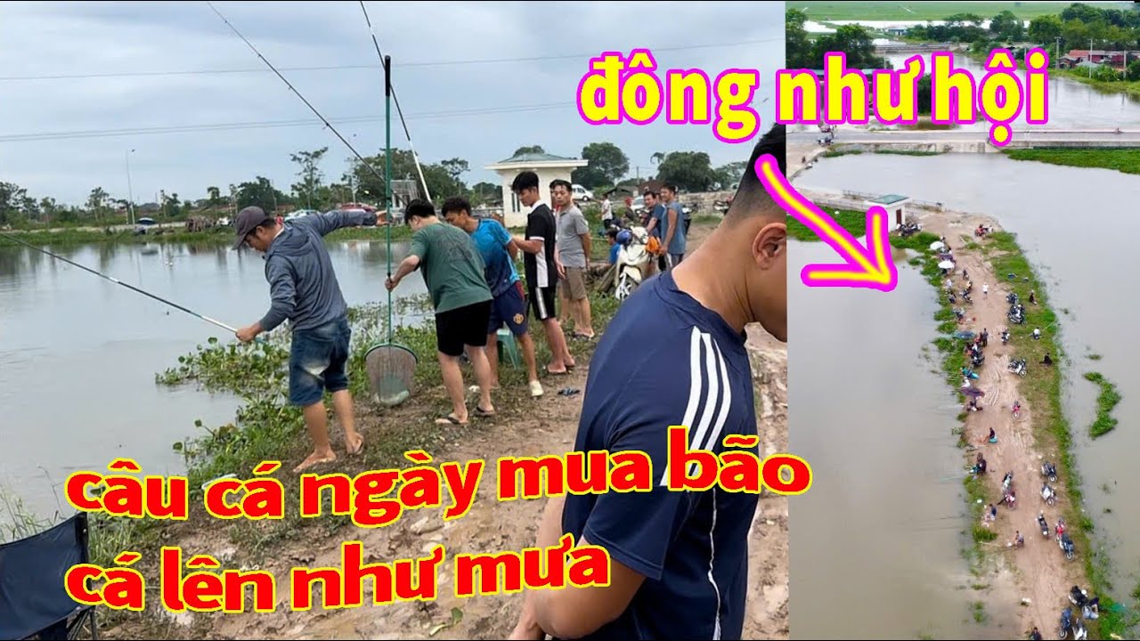 cá lên như mưa - Câu cá tư nhiên ngày mưa lũ - đông hơn đánh giải