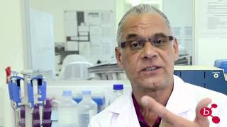 Buchulife - Harnessing Natures Most Powerful Anti-Inflammatory.