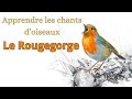 Rup apprendre les chants doiseaux  le rougegorge familier