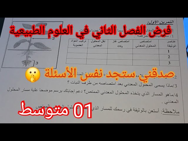 فرض الفصل الثاني في العلوم الطبيعية السنة الأولى متوسط