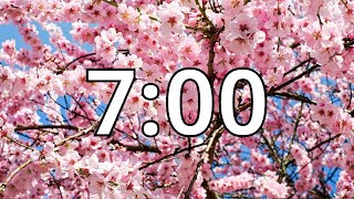 7 Minutes Timer with Music | Cherry Blossom Timer