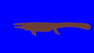 PDFC:Basilosaurus (Cetoides) vs Giant Mosassaur