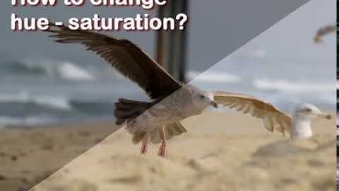 How to change hue saturation with Image Dream