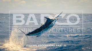 Fishing Ascension Island Part 3: The Bite We Came Here For!