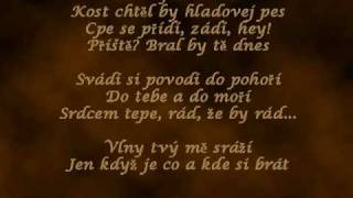 Aneta Langerová - Srdcotepec (LYRICS)