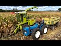 Das groe maishckseln der youngtimer traktoren 5 hcksler  50 abfahrer maisernte landwirtschaft