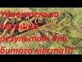 Я был приятно удивлён результатом на битом месте!!!