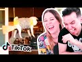 REACCIONANDO a ANIMALES GRACIOSOS de TIK TOK