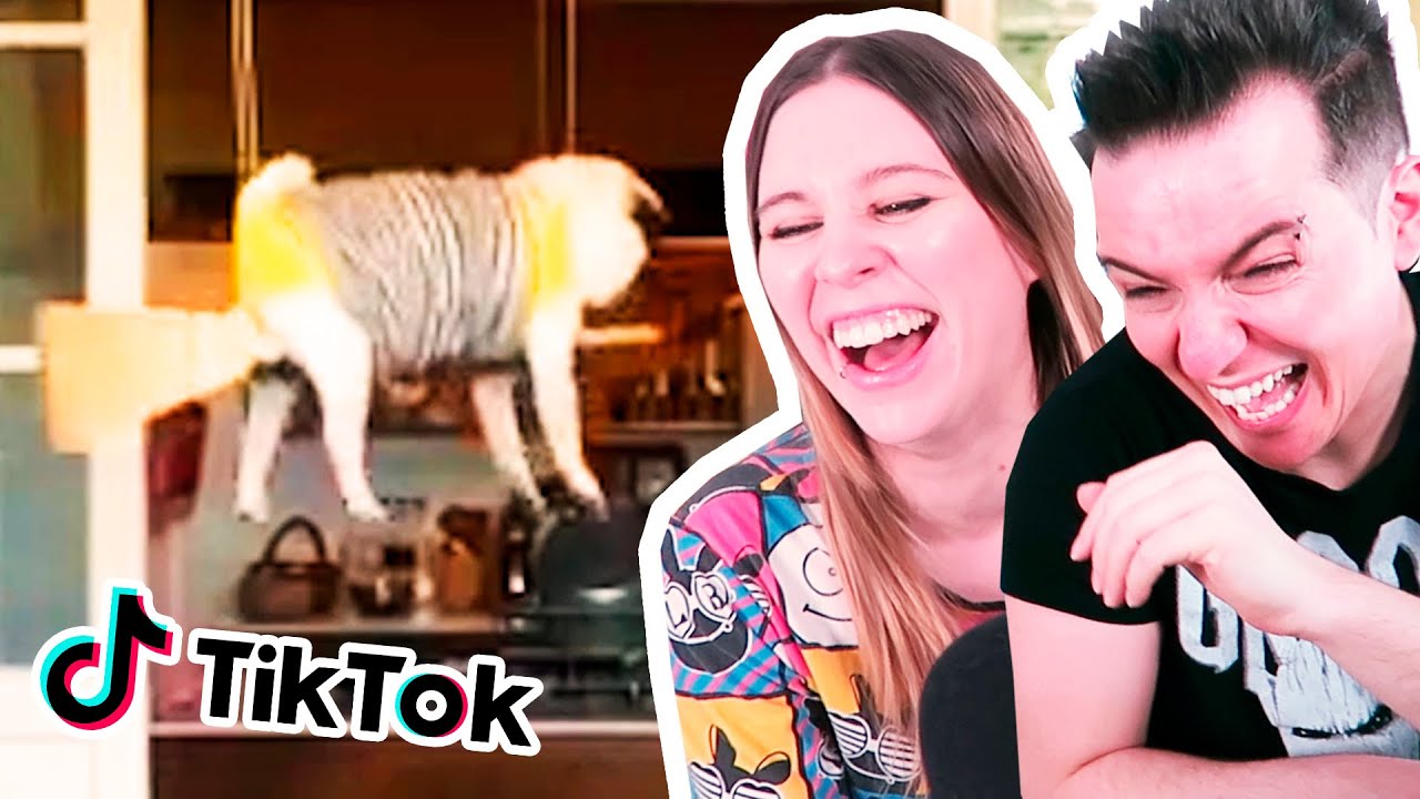 REACCIONANDO a ANIMALES GRACIOSOS de TIK TOK