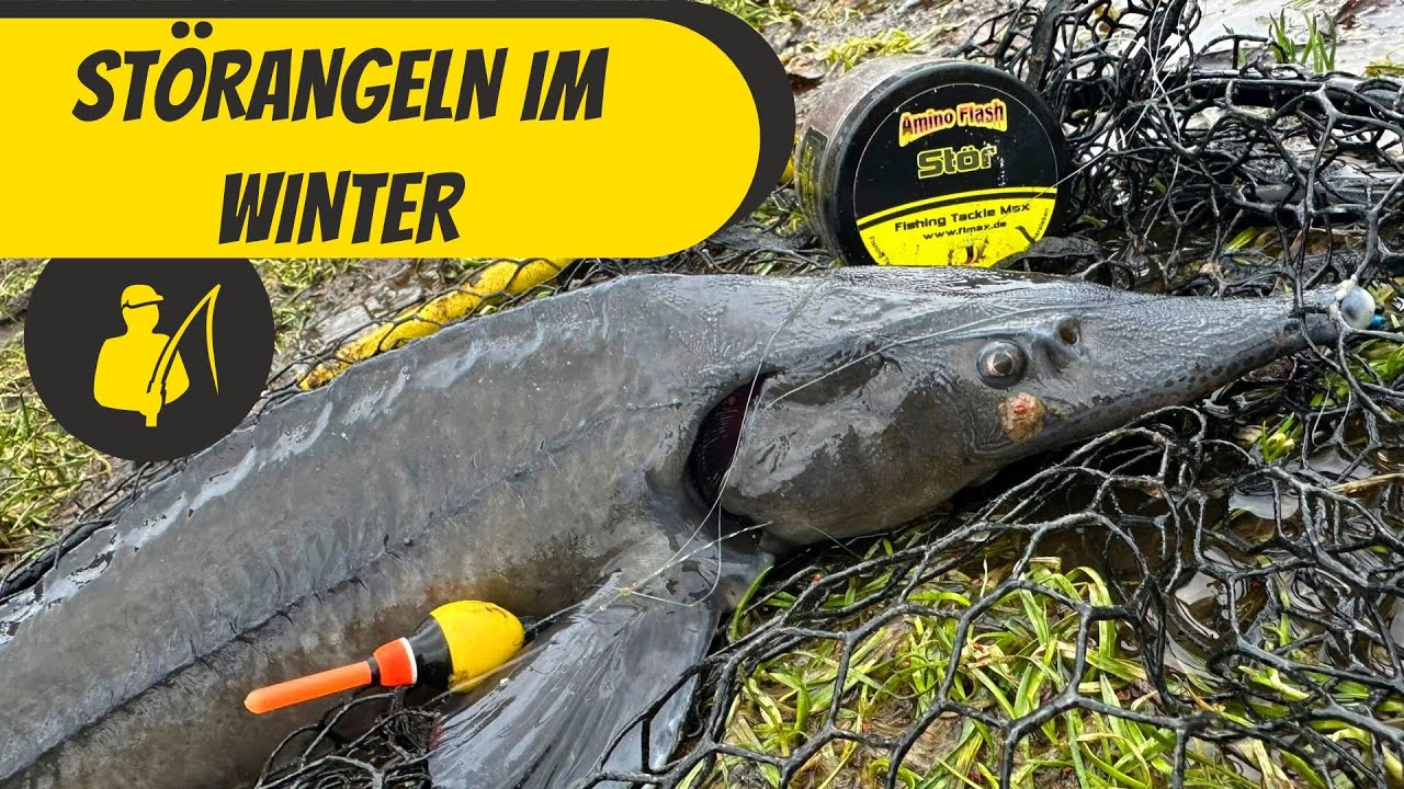Störangeln im Winter