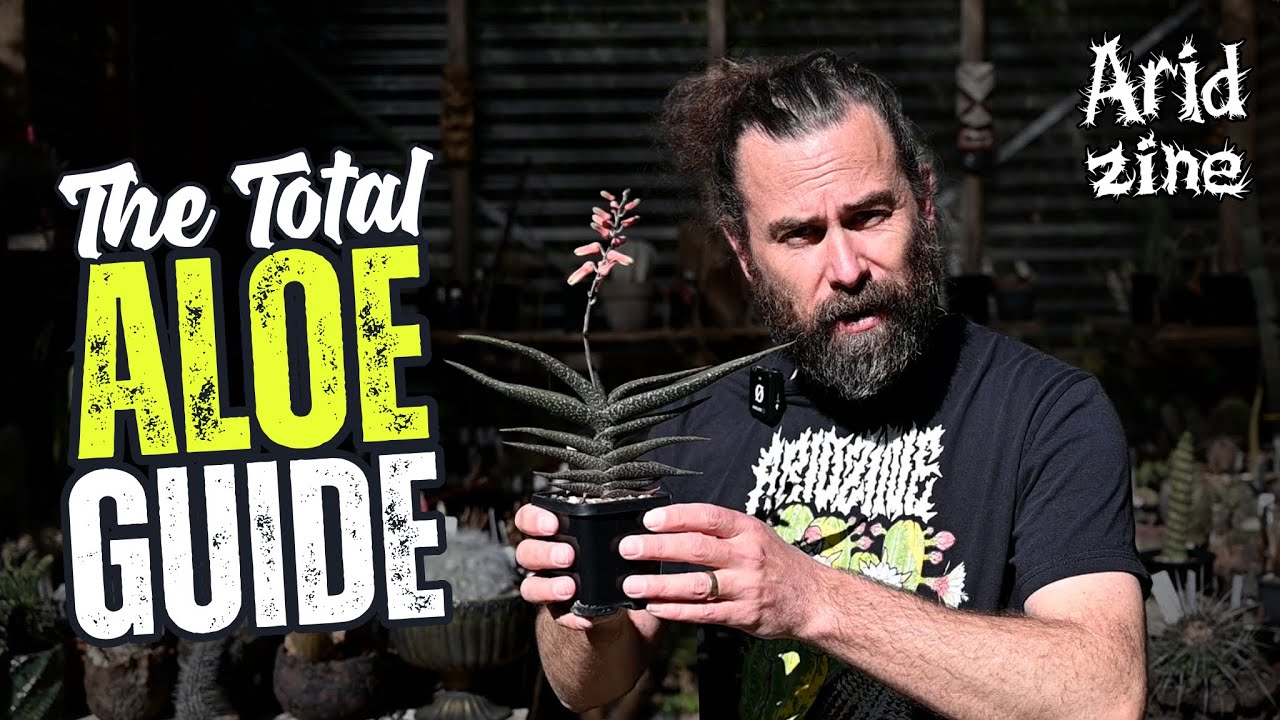 Aloe 101: Soil, Water, Light and What Nobody Tells You