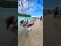Tahiti is like paradise  its true  beachvibes subscribe youtubeshorts shorts