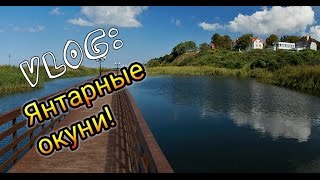 В поисках рыбного места!