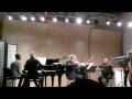 Bach a civitavecchia bwv 1056 allegro