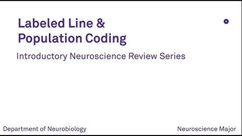 Labeled Line & Population Coding