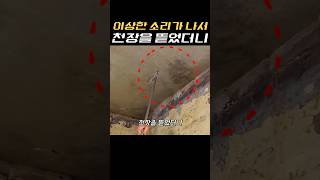 공포에 질릴 수밖에 없는 상황입니다. #동물 #animals #뱀