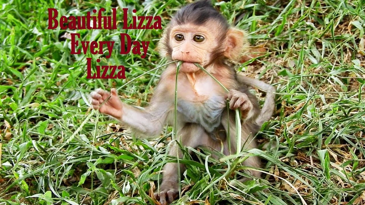 foundry Beautiful Lizza Scare Losing Beloved Mummy_Looking To Waiting Mummy