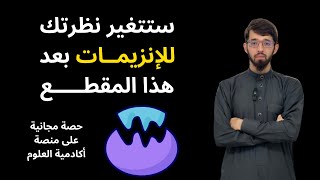 كل أفكار تمارين الإنزيمات