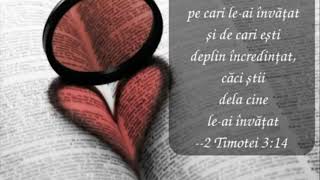 Caută Pacea-Ntotdeauna Cântări Creștine