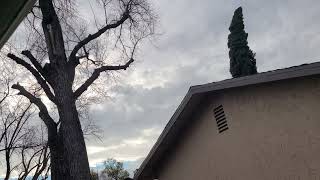 Gusty Windy SSE Winds & Mostly Cloudy 2:50pm Feb 18, 2024