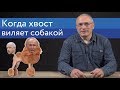 Как Пригожин в Африке обманывает Путина и местных диктаторов | Блог Ходорковского