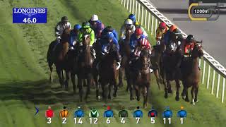 Vidéo de la course PMU SINGSPIEL STAKES