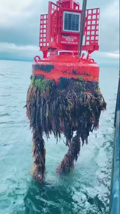 Navigation sea buoy