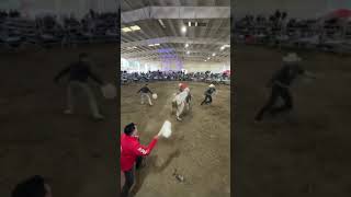 GALLITO DE MORELIA Vs Mercedes Benz de Los Terremotos Jaliscienses Lakeport Ca