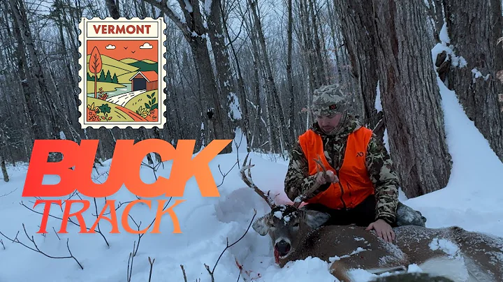 Tracking a Vermont mountain buck - HARDEST drag of my life