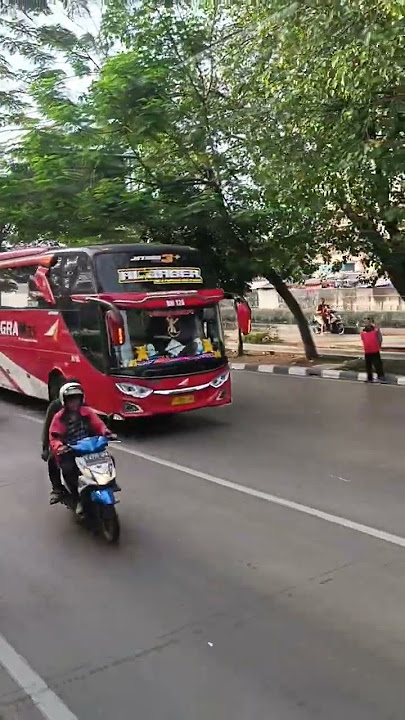 nyodrek‼️BUS AGRA MAS BM 126' AL JABER' #shorts #trending #videobus #agramas #basuri #teloletbus