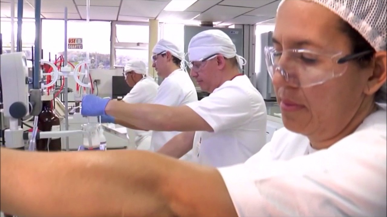 Producción de levadura. Grado en Biotecnología UCA 2016/17