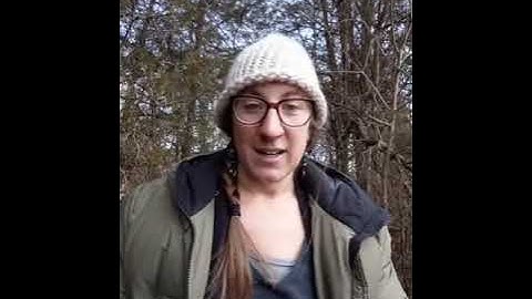 Quintessence, the Fifth Element