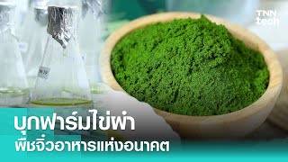 บุกฟาร์มไข่ผำ พืชจิ๋วอาหารแห่งอนาคต | TNN Tech Reports Weekly