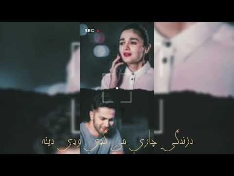 شعرونه او لیکنی